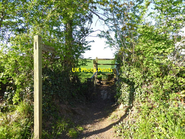 Photo 6"x4" Channel to Channel (377) Fulford\/ST2029 c2015