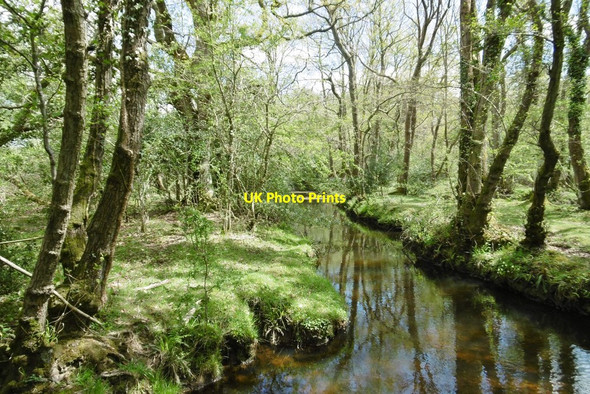 Photo 6"x4" Wootton, Avon Water Mead End\/SZ2698 c2015
