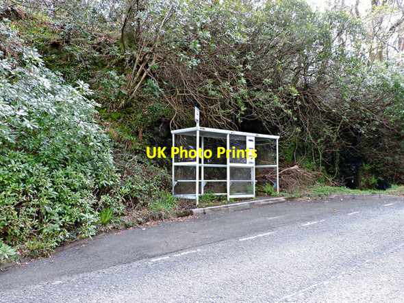 Photo 6"x4" Bus shelter on Shore Road Ardpeaton c2015