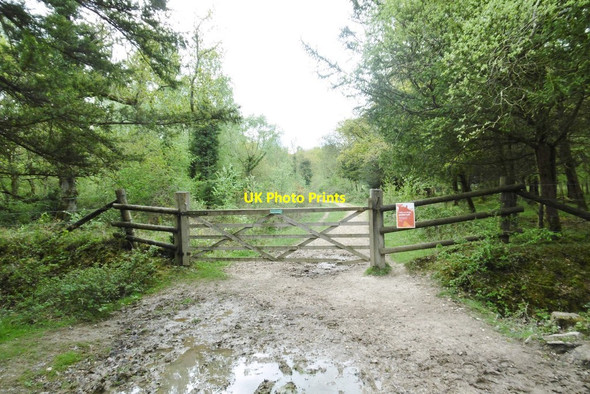 Photo 6"x4" Wootton Coppice Inclosure, gate Wootton\/SZ2498 c2015