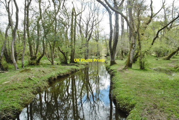 Photo 6"x4" Wootton, Avon Water Wootton\/SZ2498 c2015