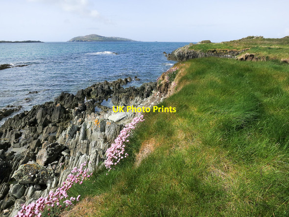 Photo 6"x4" Full of interest Harboursmouth c2015