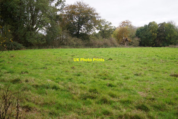 Photo 6"x4" Looking into Stratton Park East Stratton c2014