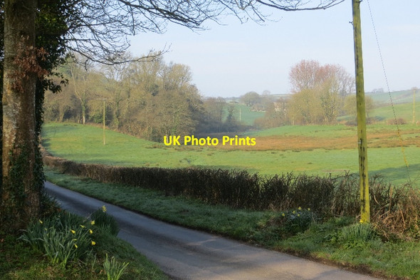 Photo 6"x4" Wynford Eagle to Compton road Wynford Eagle c2015