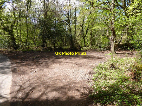 Photo 6"x4" Channel to Channel (451) Coleford Water c2015
