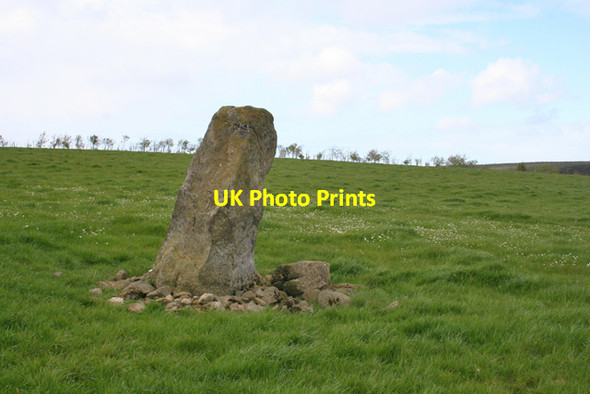 Photo 6"x4" Auchmachar Recumbent Stone Circle (4) Maud c2015