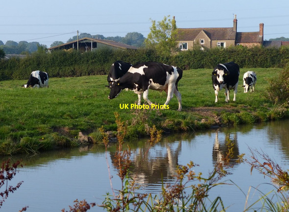 Photo 6"x4" Brookfield Farm along the Oxford Canal Ansty\/SP3983 c2014