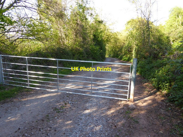 Photo 6"x4" Channel to Channel (511) Sampford Brett c2015