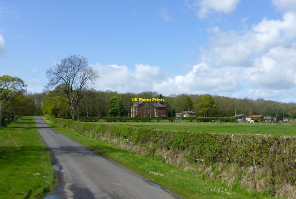 Photo 6"x4" Hepscott Manor Clifton\/NZ2082 c2015