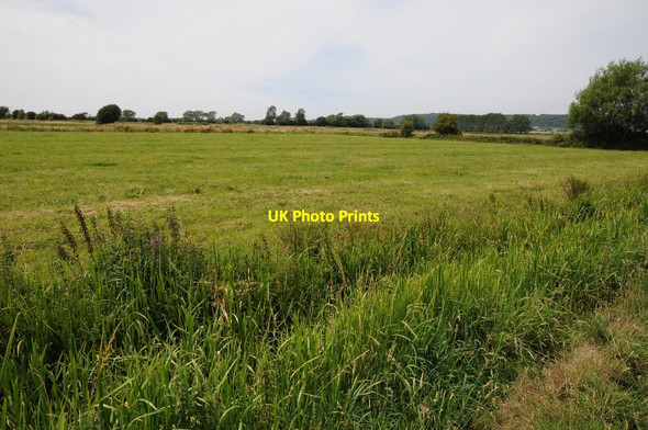 Photo 6"x4" Nailsea Moor Nailsea c2014