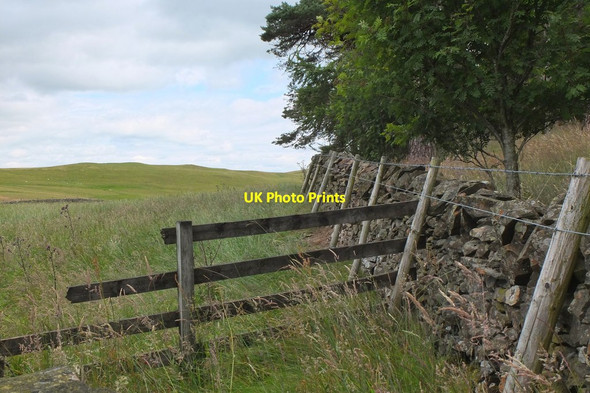 Photo 6"x4" Field corner by Jedderfield Plantation Peebles\/NT2540 c2014