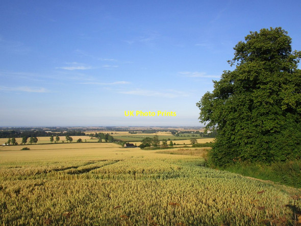 Photo 6"x4" View towards Beesby Farm and the Marsh Grainsby c2014