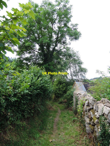 Photo 6"x4" Chagford: footpath to Dogmarsh Bridge Easton\/SX7188 c2014