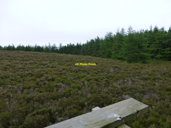 Photo 6"x4" View from a high seat  Healey Cote c2014