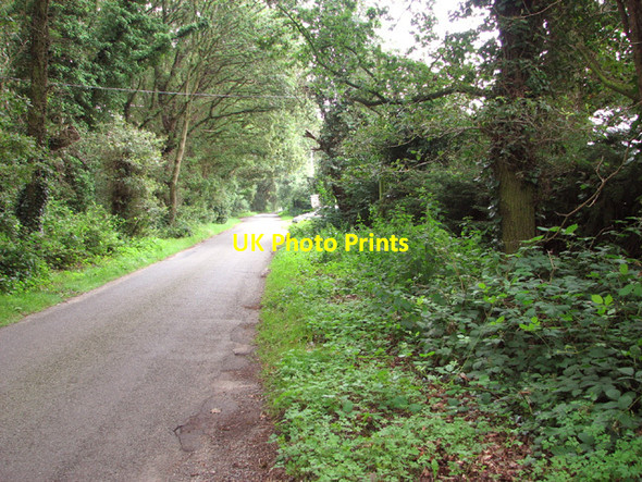 Photo 6"x4" View along Buxton Heath The Heath\/TG1821 c2014
