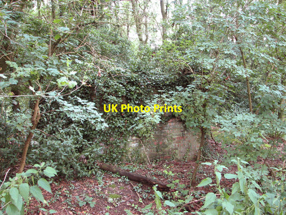 Photo 6"x4" Overgrown pillbox north of Heath Road The Heath\/TG1821 c2014