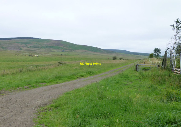 Photo 6"x4" Public footpath heading north from Framhill Healey Cote c2014