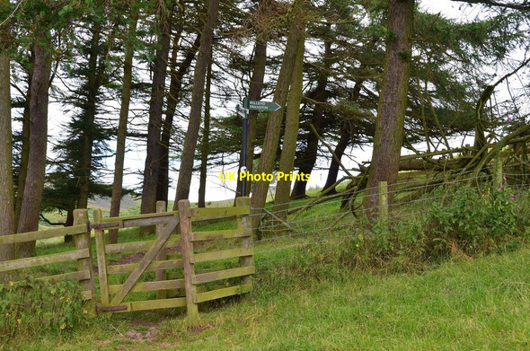 Photo 6"x4" Paths from Boghall Boghall\/NT2465 c2014