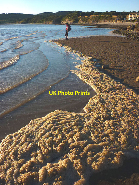 Photo 6"x4" Foam on the shore, Silverdale Silverdale Green c2014