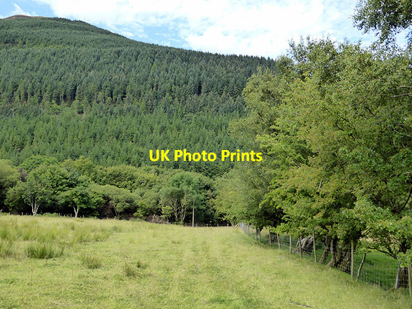 Photo 6"x4" Right of way from Hengwm-cyfeiliog Aberhosan c2014