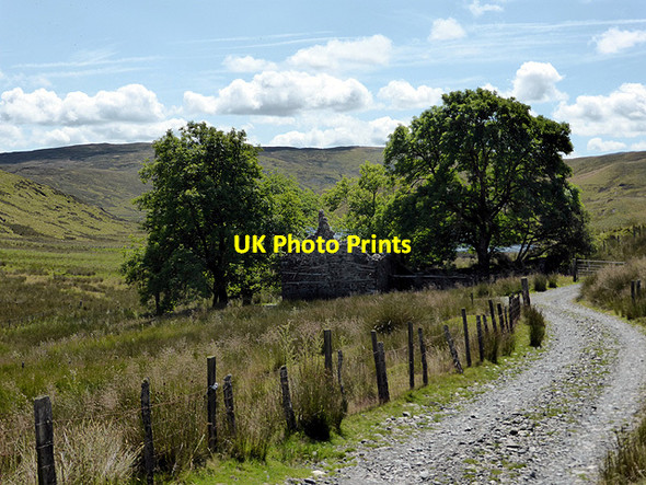 Photo 6"x4" Bugeilyn Farmhouse Bugeilyn\/SN8292 c2014