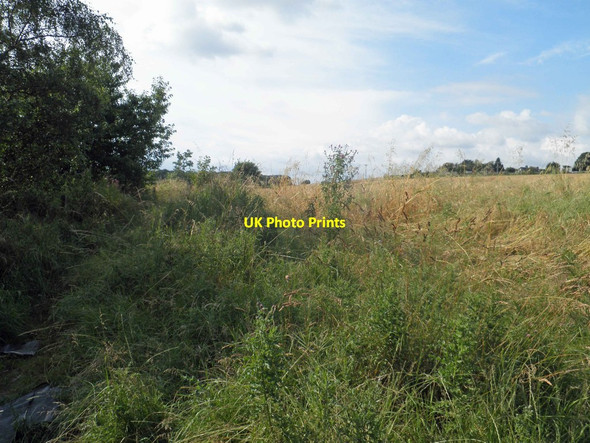 Photo 6"x4" Overgrown bridleway from Chapel Lane Great Houghton\/SE4306 c2014