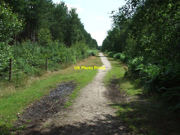 Photo 6"x4" Long Footpath Duck Corner c2014