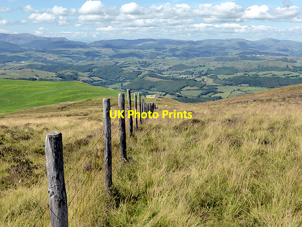 Photo 6"x4" Fence-line on Clipyn Du Aberhosan c2014