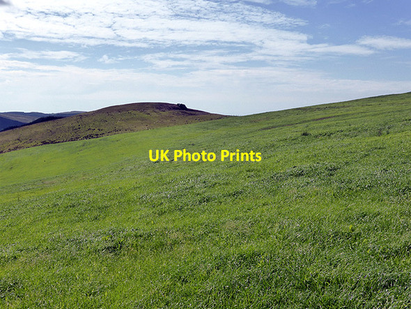 Photo 6"x4" Grazing land above Rhiwgam farm Llechwedd Diflas c2014