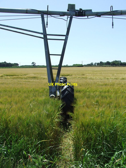 Photo 6"x4" Wheels Through The Field Hollesley c2014