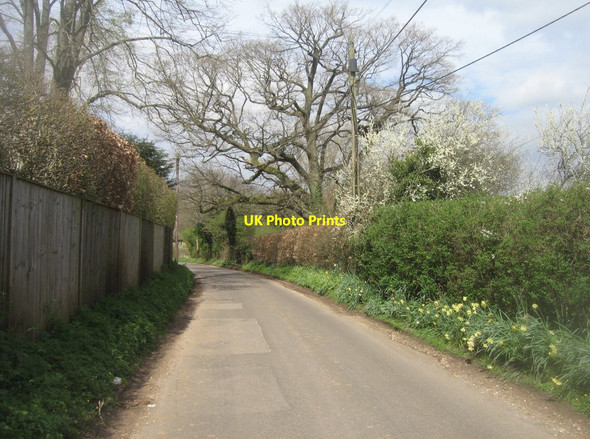 Photo 6"x4" Lane by Cheesedown Farm Deane\/SU5450 c2014