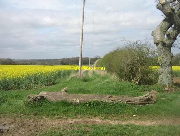Photo 6"x4" Fields near Oakley Hall Church Oakley c2014