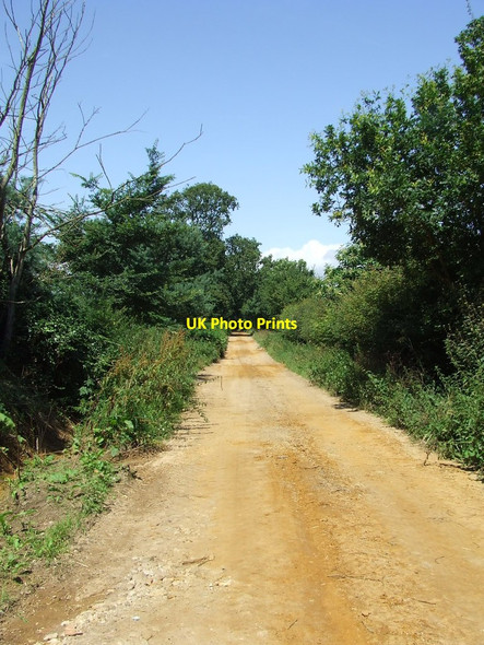 Photo 6"x4" Bussocks Lane Duck Corner c2014