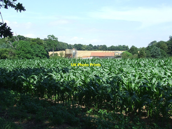 Photo 6"x4" Bussocks Barn Duck Corner c2014