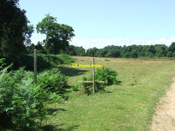 Photo 6"x4" Stile But No Fence Shottisham c2014