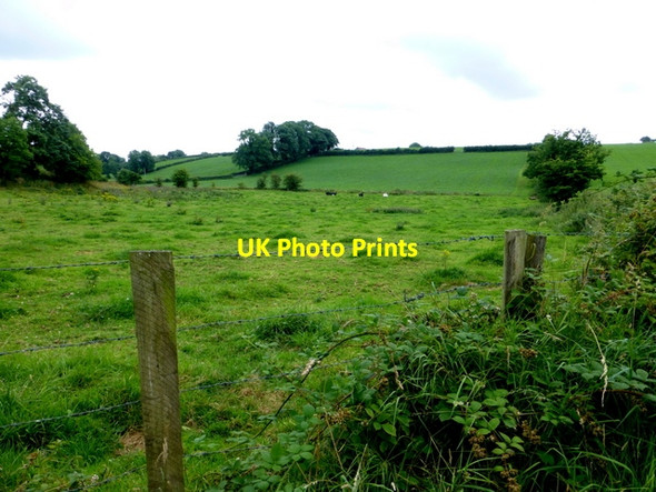 Photo 6"x4" Mullaghmenagh Upper Townland Omagh c2014