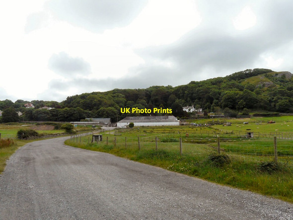 Photo 6"x4" Bodafon Farm Park Llandudno c2014