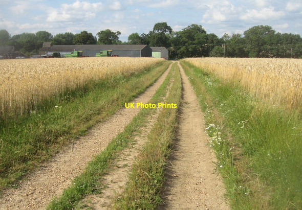 Photo 6"x4" Approaching Turgis Court Farm Stratfield Turgis c2014