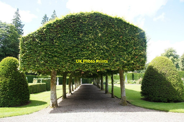 Photo 6"x4" Ornamental tree arch in the Italian Garden, Glamis Castle Bridgend\/NO3747 c2014