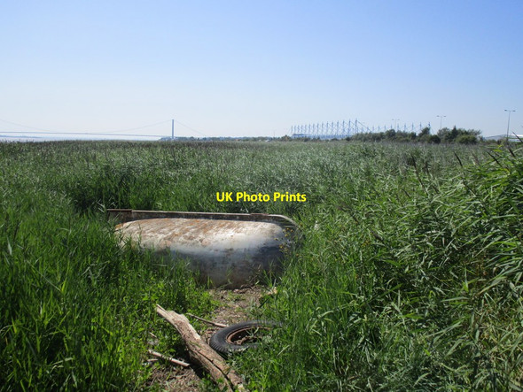 Photo 6"x4" Humber reed bed Hessle\/TA0326 c2014