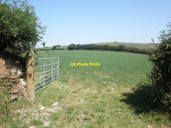 Photo 6"x4" Field, east of Wheatly Lane Bodley c2014
