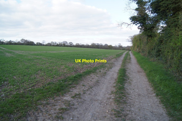 Photo 6"x4" Byway towards Whitnal Cole Henley c2014