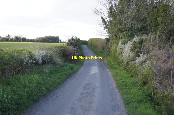 Photo 6"x4" View north - Twinley Lane Cole Henley c2014