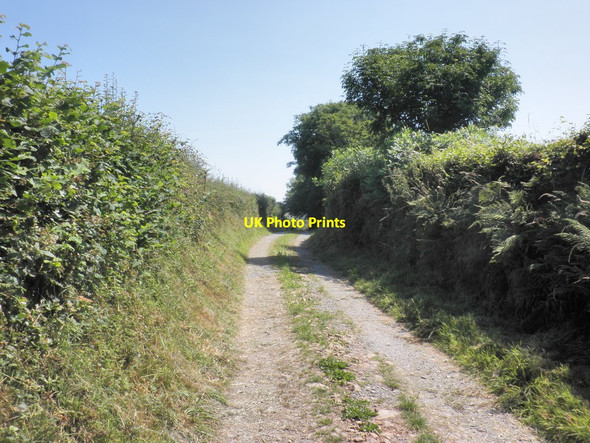 Photo 6"x4" Track to Higher Bumsley Bodley c2014