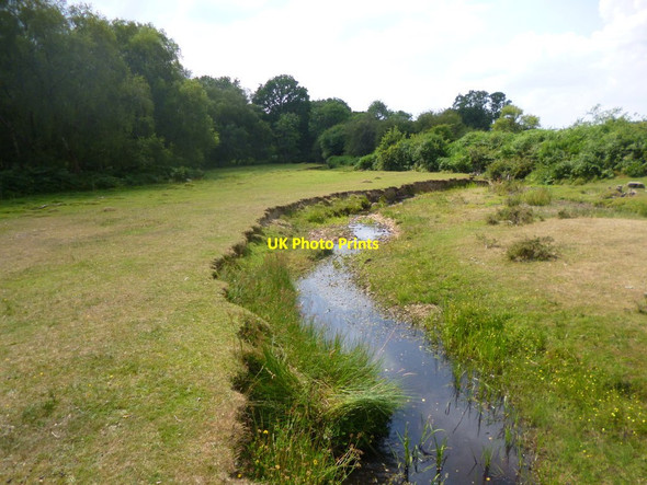 Photo 6"x4" Holly Hatch, Dockens Water Ogdens c2014