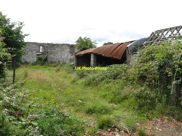 Photo 6"x4" Ruined sheds at derelict farm in Bannvale Hilltown\/J2128 c2014