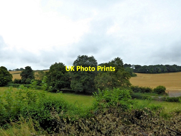 Photo 6"x4" View from the Watercress Line near Bishop's Sutton Bishop's Sutton c2014