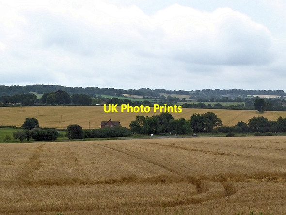 Photo 6"x4" Farmland South of the Watercress Line North Street\/SU6433 c2014