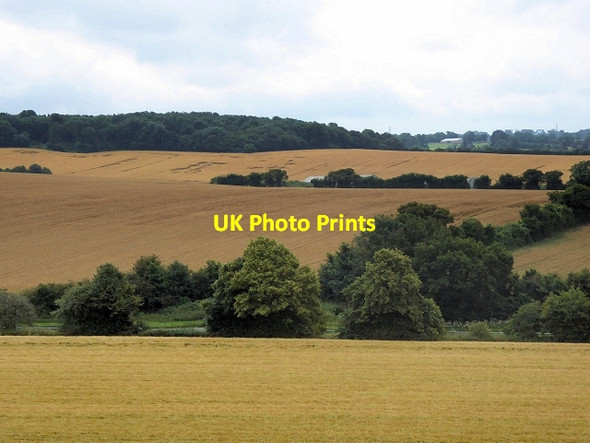 Photo 6"x4" View from the Watercress Line North Street\/SU6433 c2014
