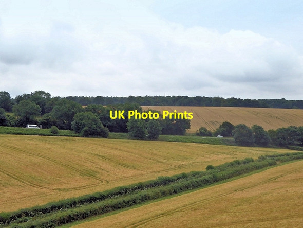 Photo 6"x4" Farmland near Soldridge, South of the Watercress Line Soldridge c2014